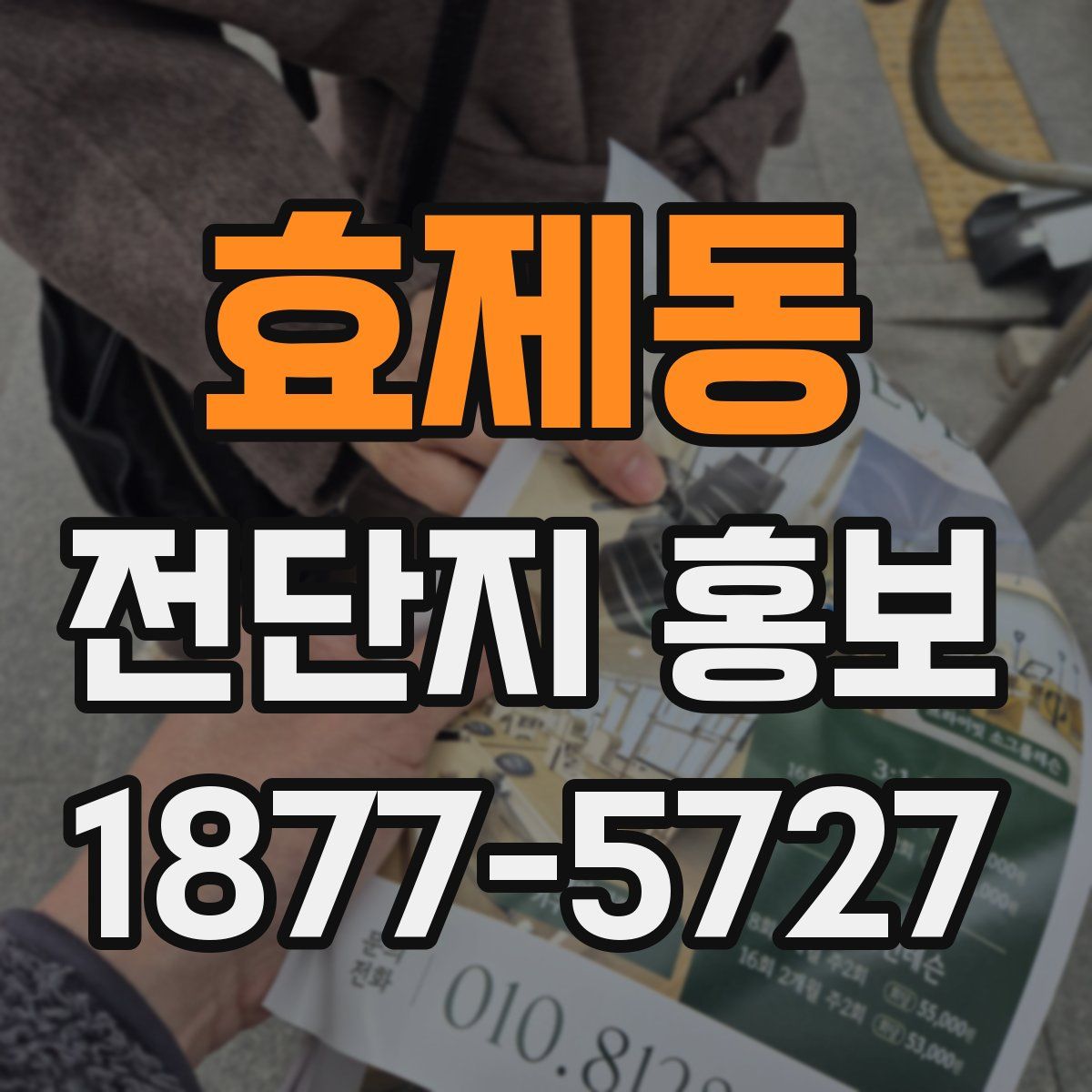 효제동 전단지 홍보
