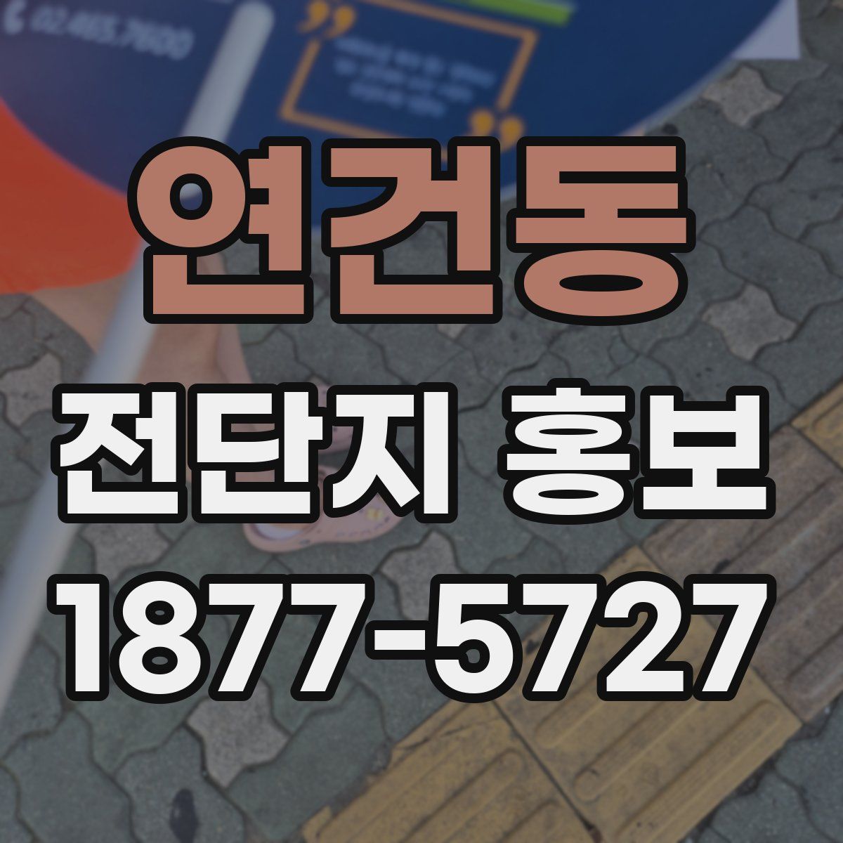 연건동 전단지 홍보
