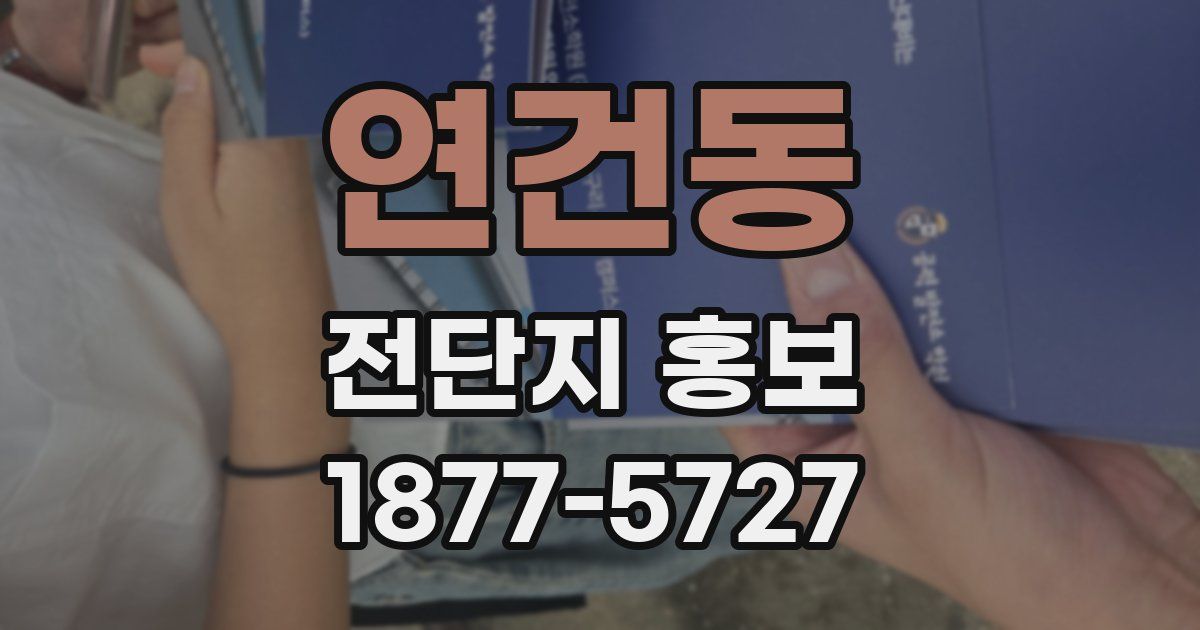 연건동 전단지 홍보