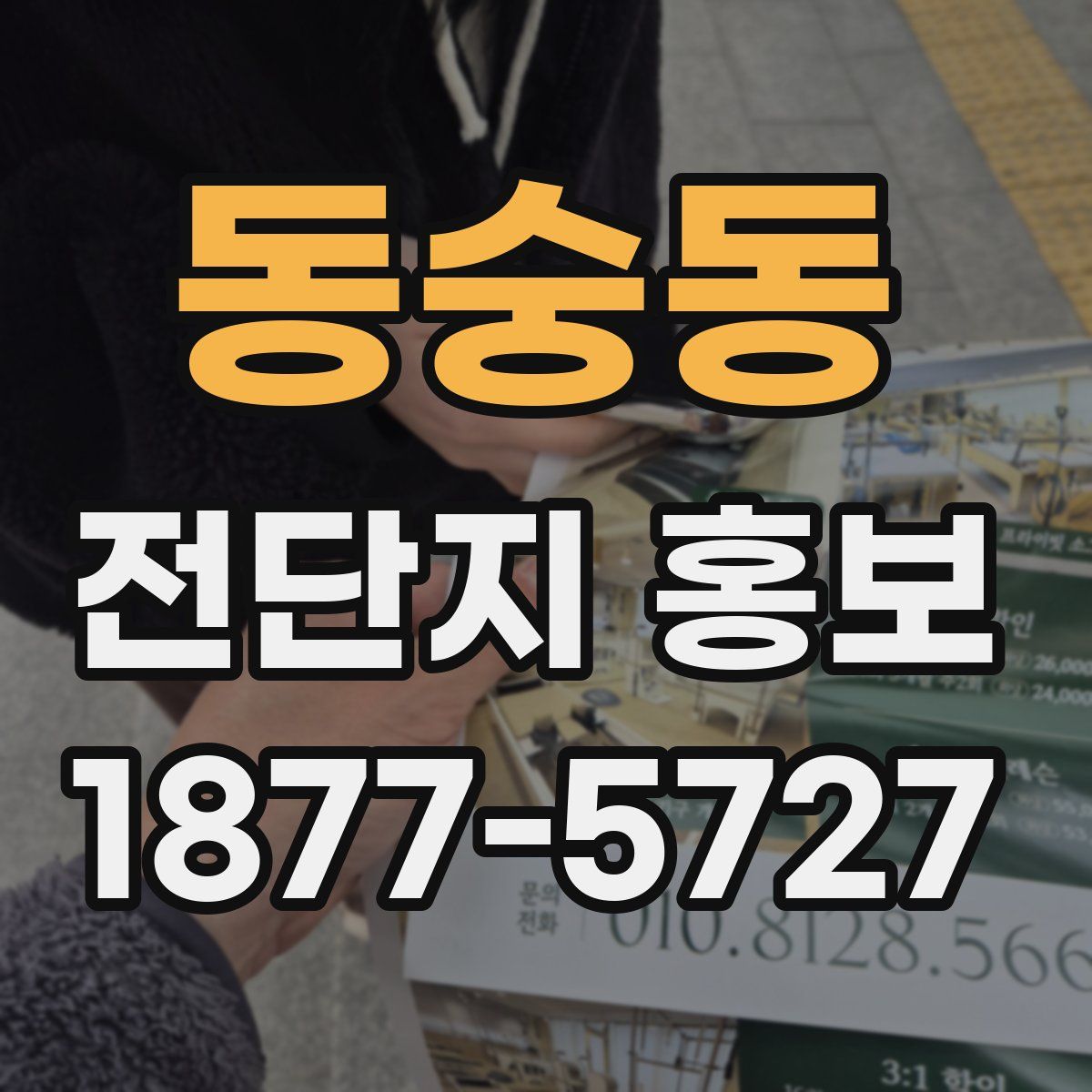 동숭동 전단지 홍보