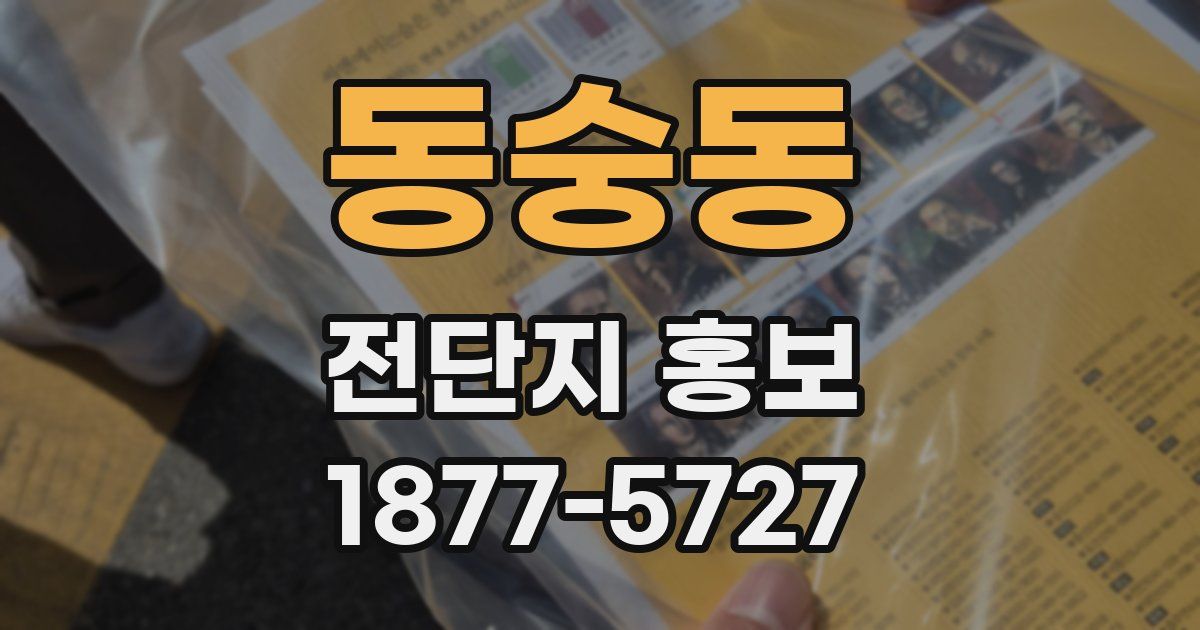 동숭동 전단지 홍보