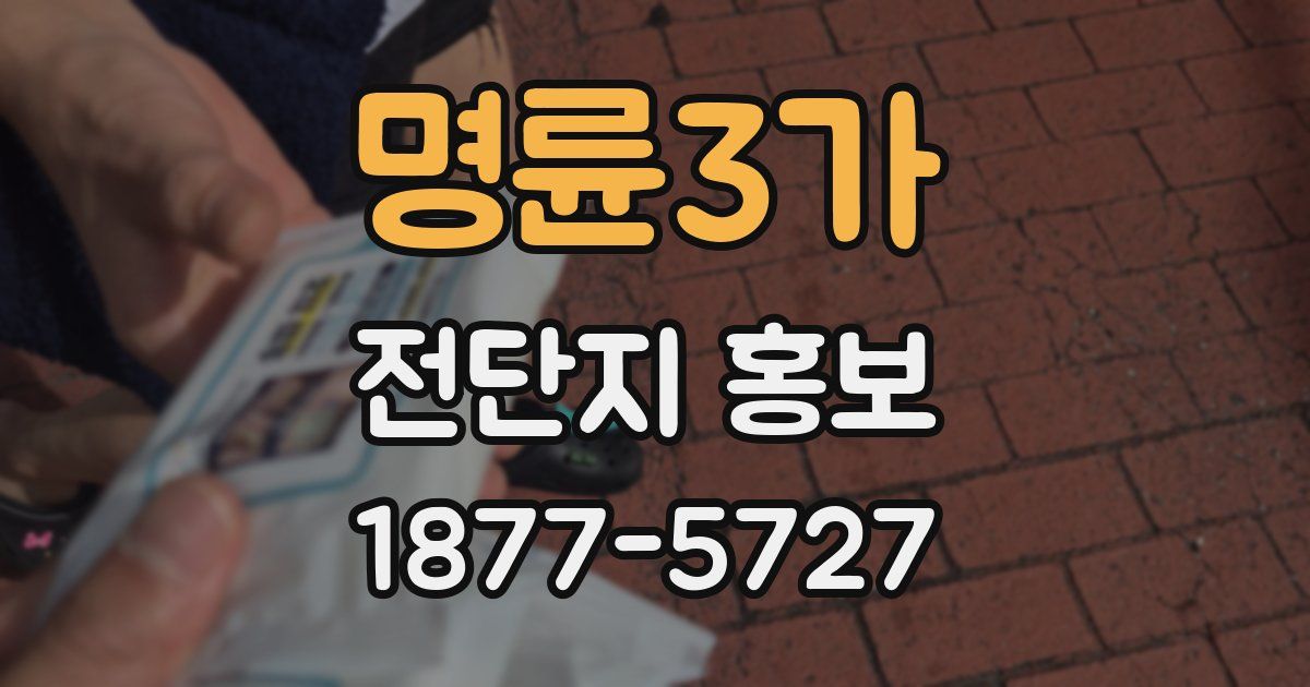 명륜3가 전단지 홍보