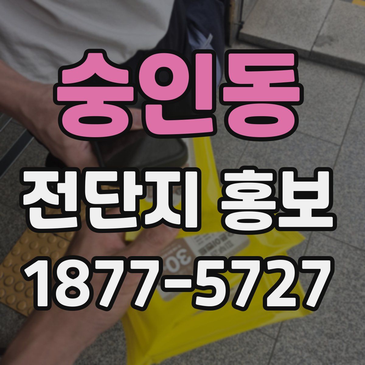 숭인동 전단지 홍보