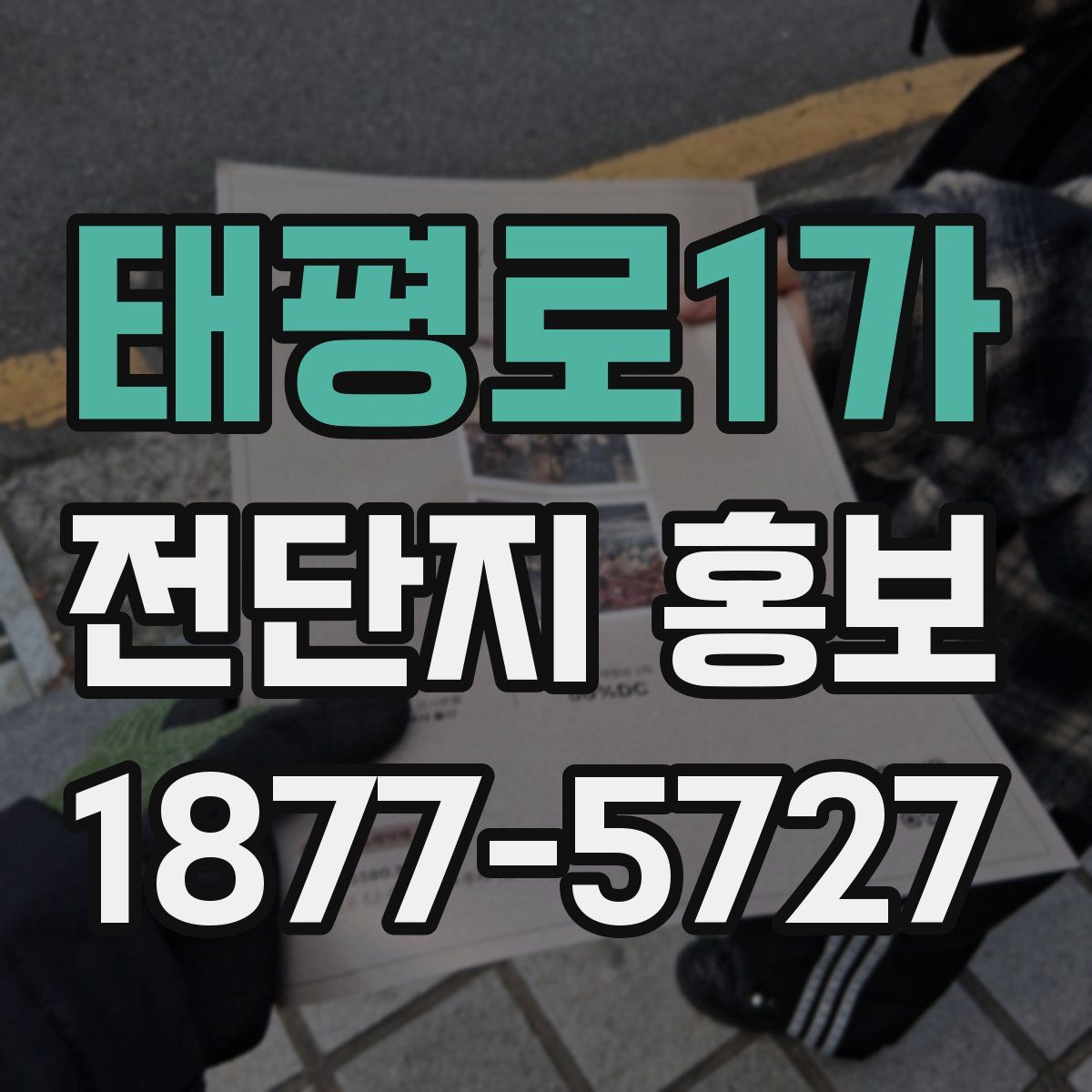 태평로1가 전단지 홍보