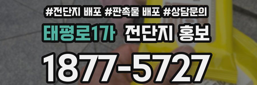 태평로1가 전단지 홍보