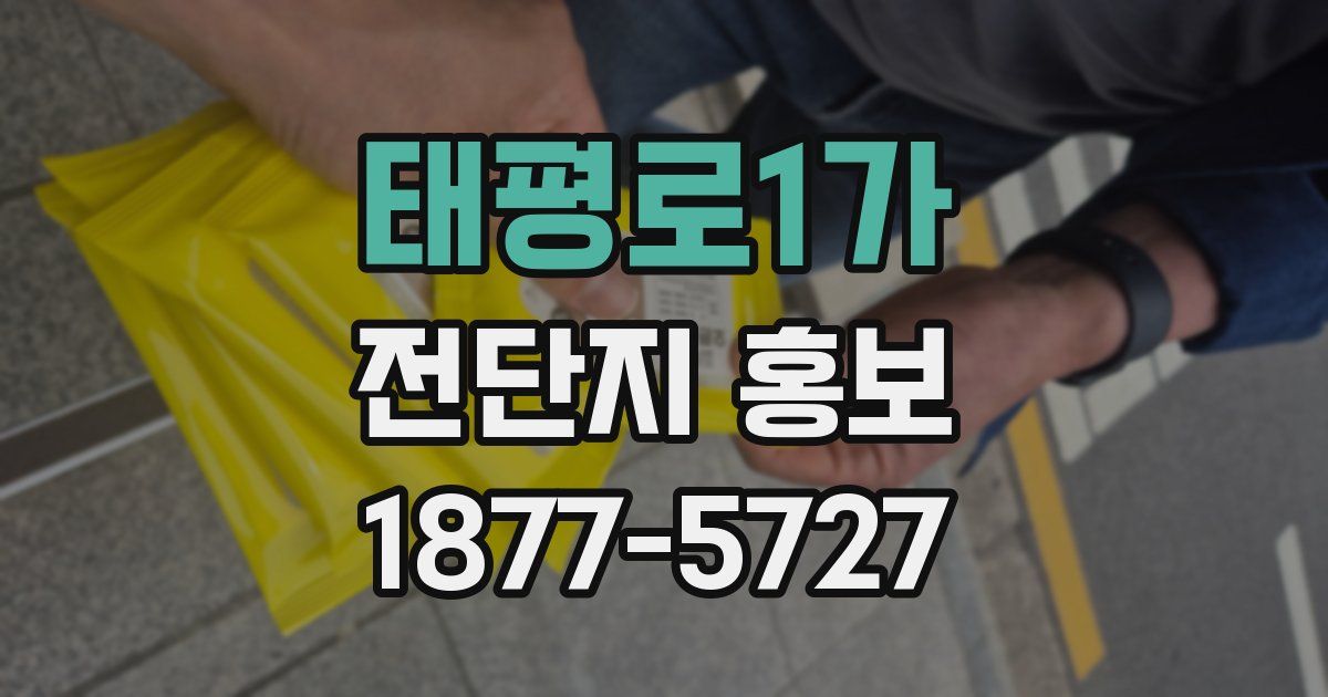 태평로1가 전단지 홍보