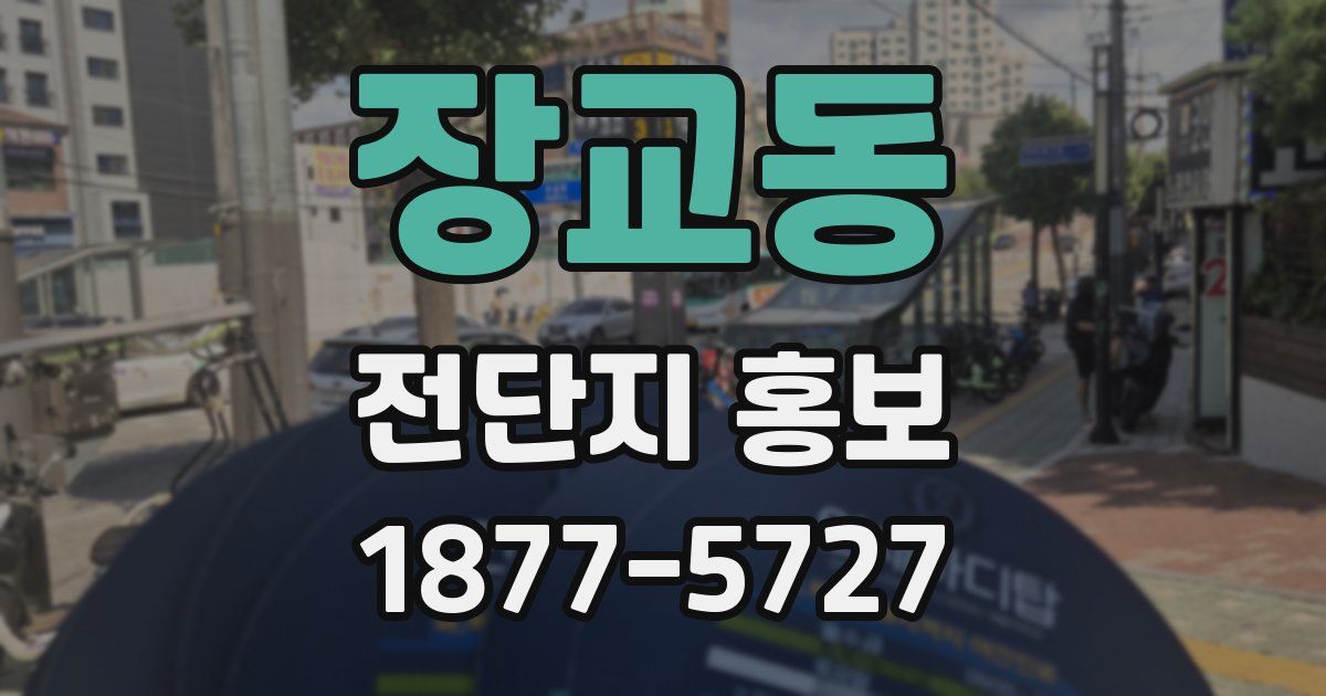 장교동 전단지 홍보