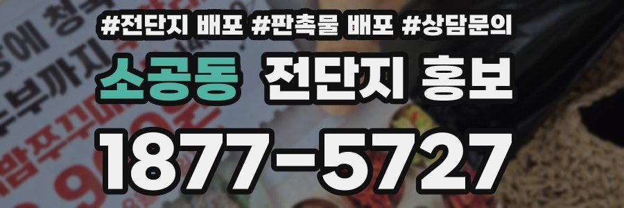 소공동 전단지 홍보