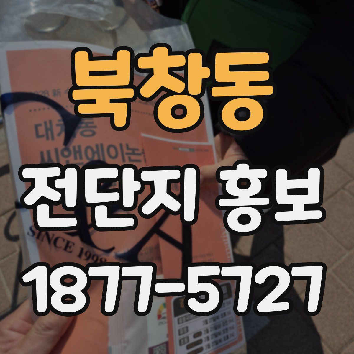 북창동 전단지 홍보