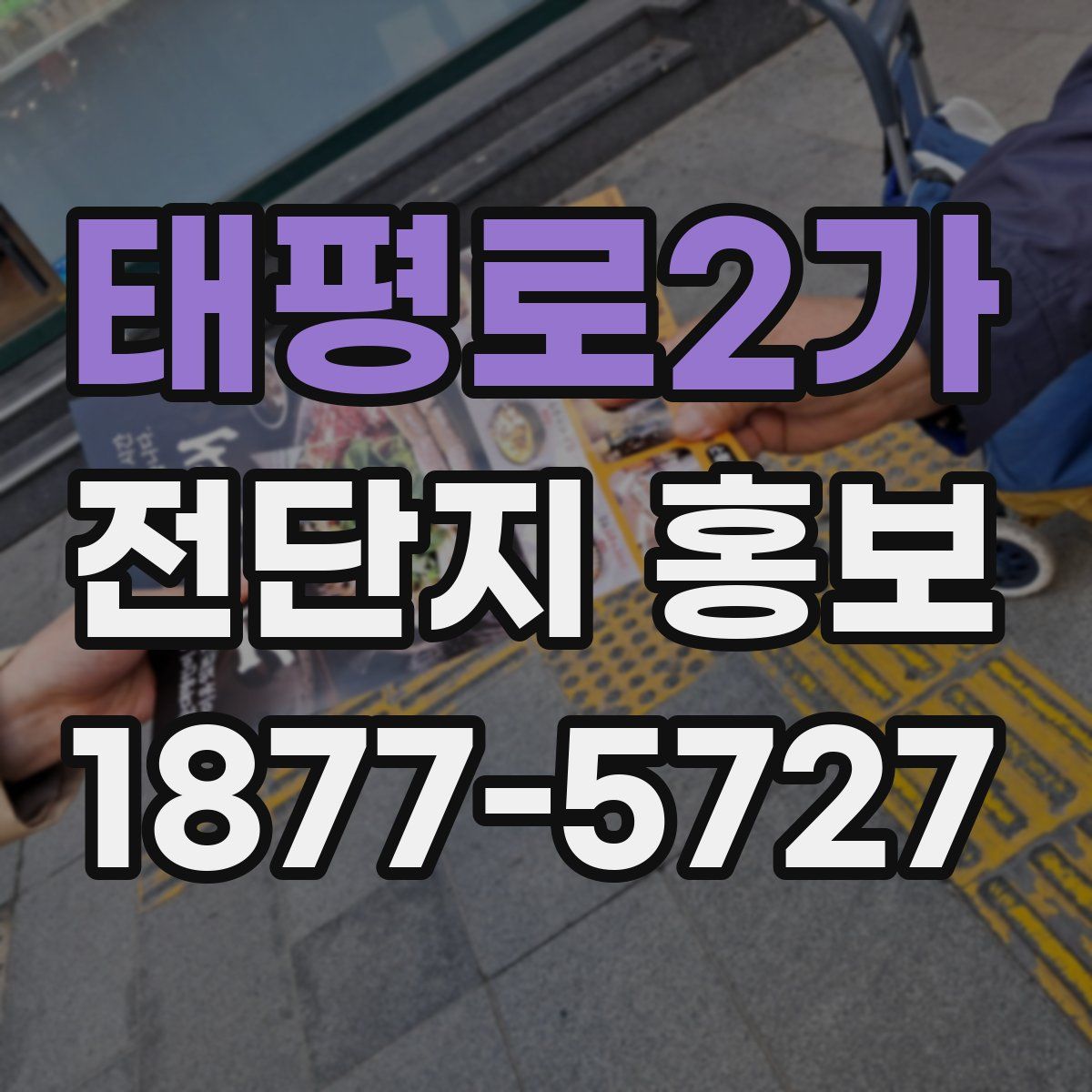 태평로2가 전단지 홍보