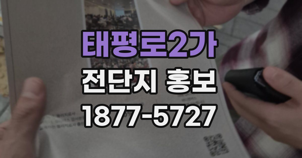 태평로2가 전단지 홍보