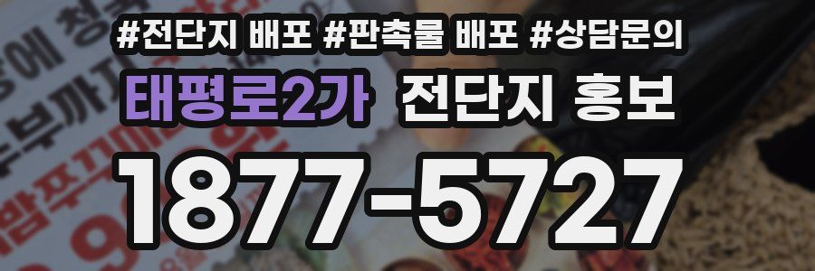 태평로2가 전단지 홍보