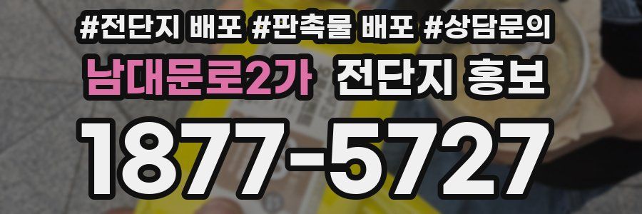 남대문로2가 전단지 홍보