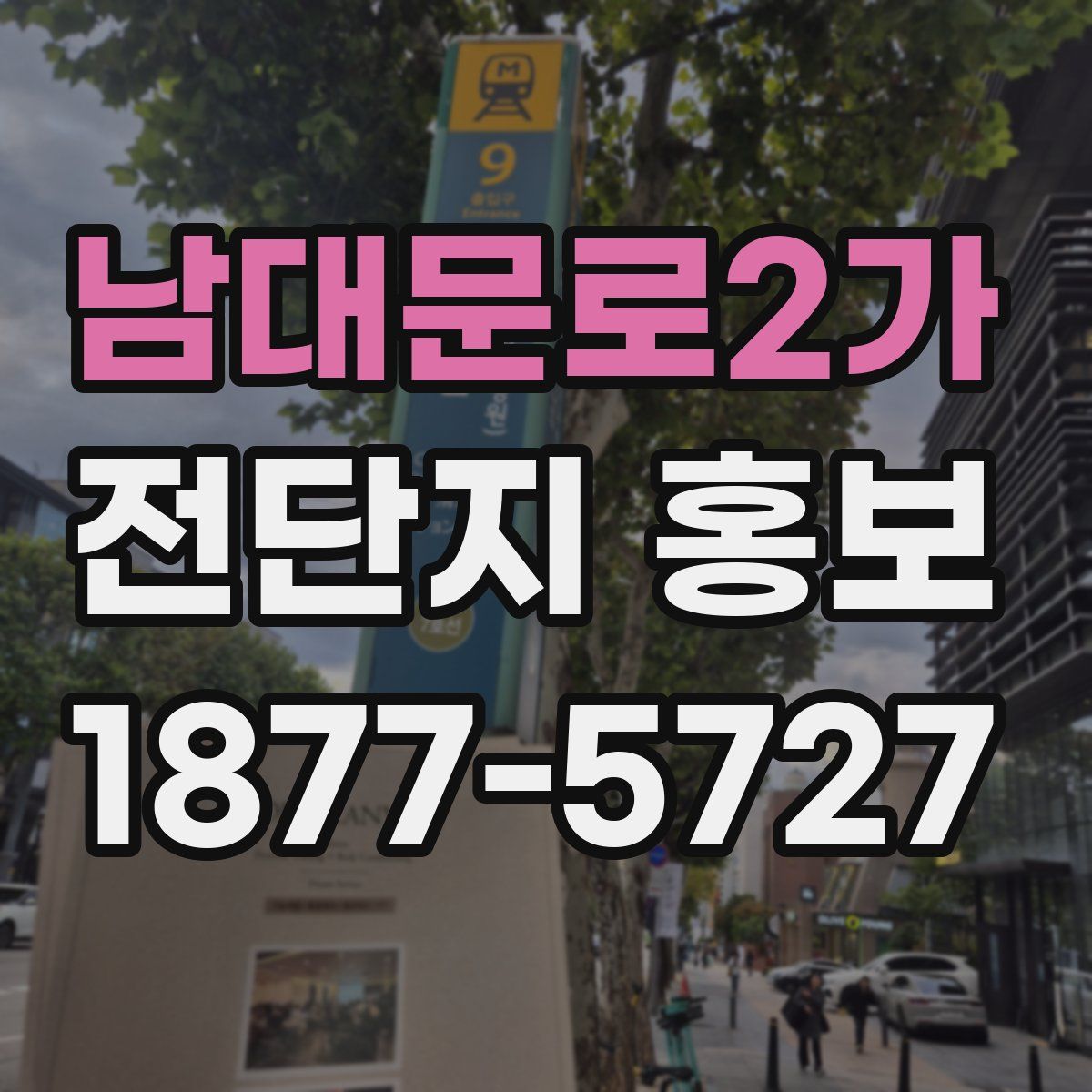남대문로2가 전단지 홍보