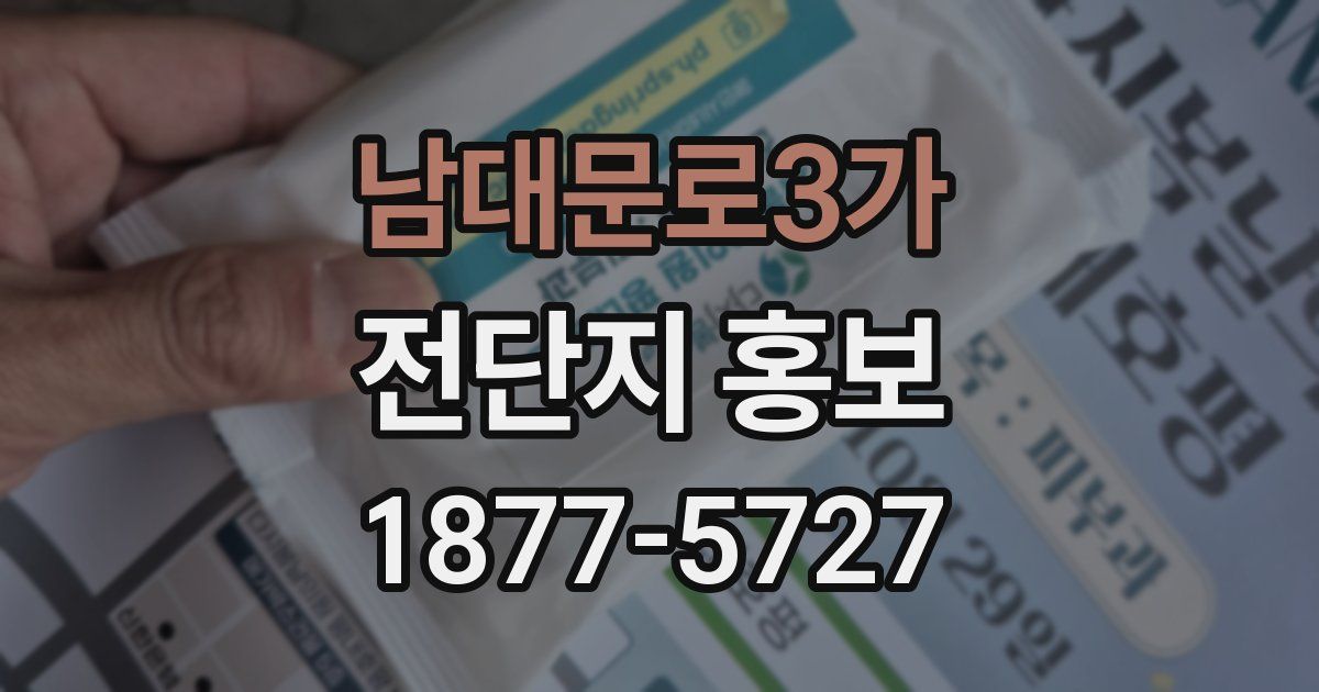 남대문로3가 전단지 홍보