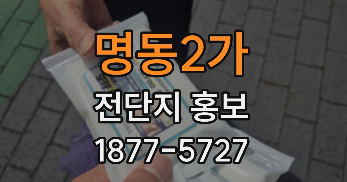 명동2가 전단지 홍보