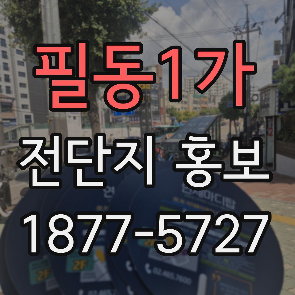 필동1가 전단지 홍보