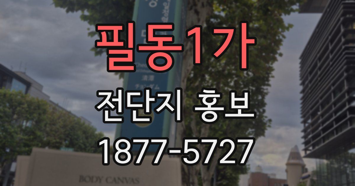 필동1가 전단지 홍보