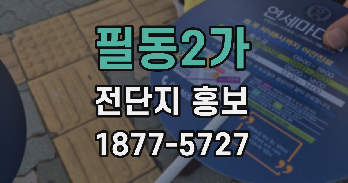 필동2가 전단지 홍보