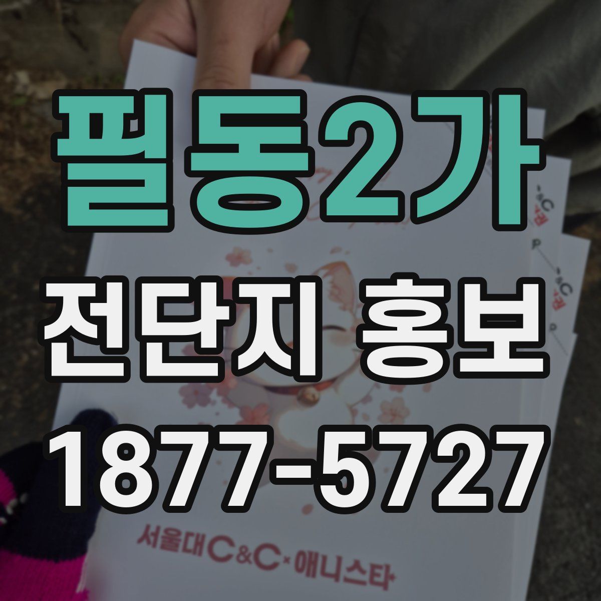 필동2가 전단지 홍보