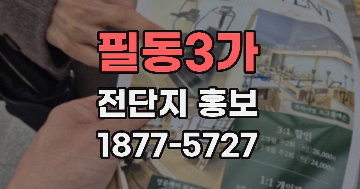 필동3가 전단지 홍보