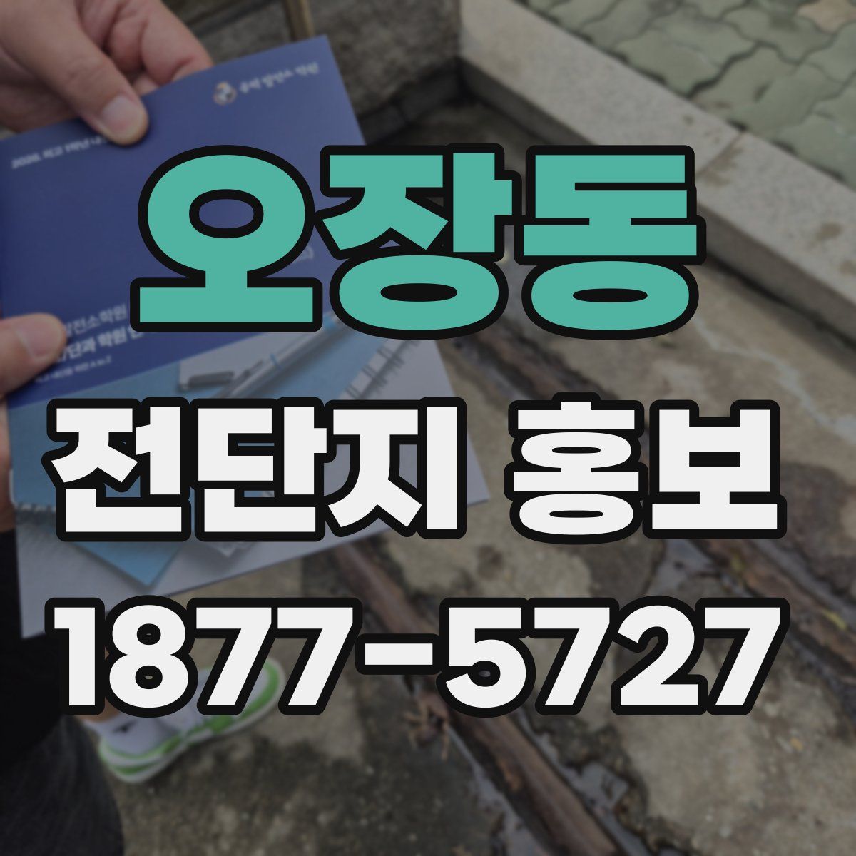 오장동 전단지 홍보