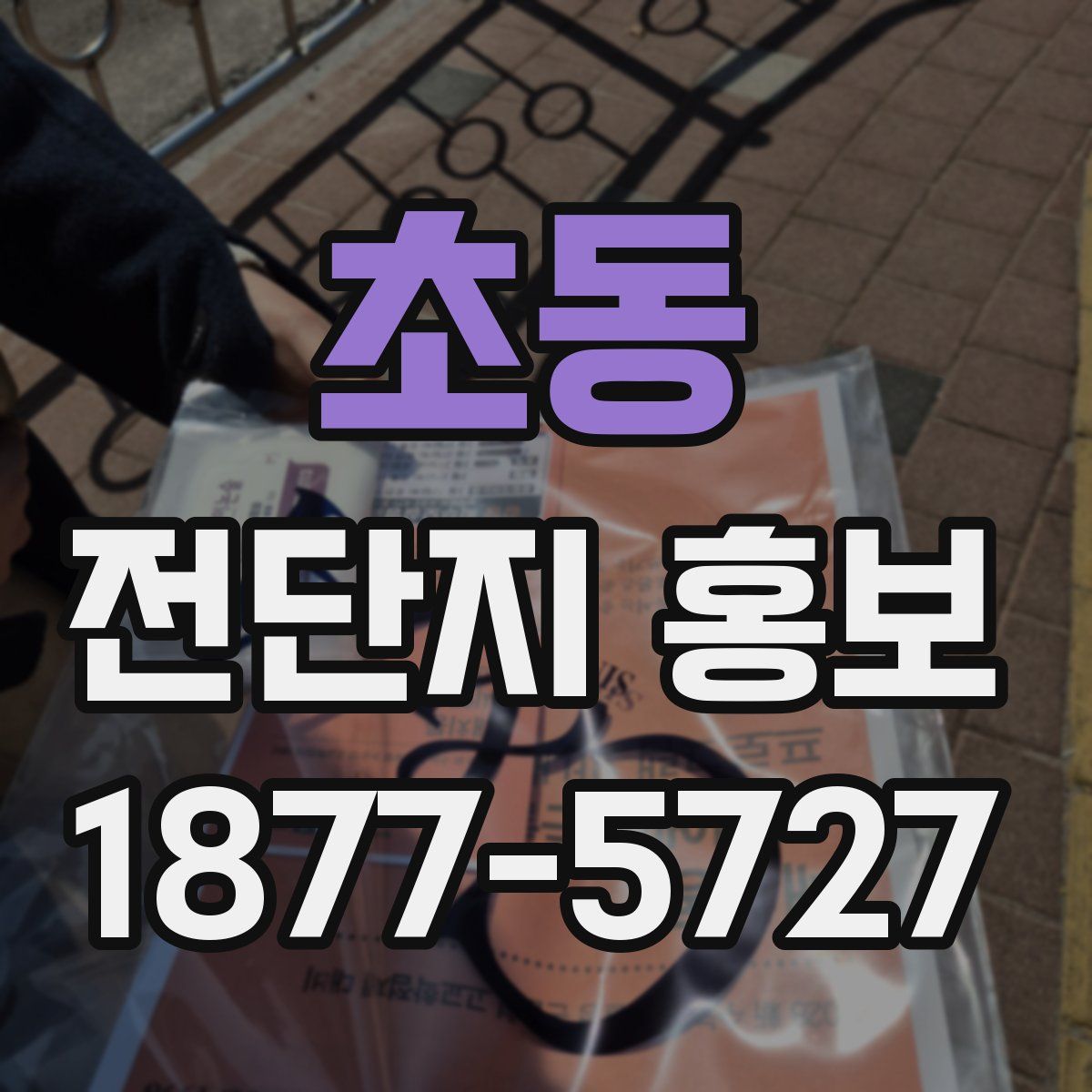 초동 전단지 홍보