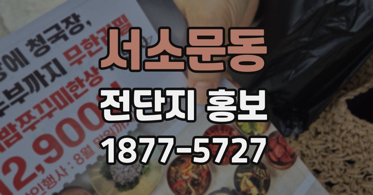서소문동 전단지 홍보