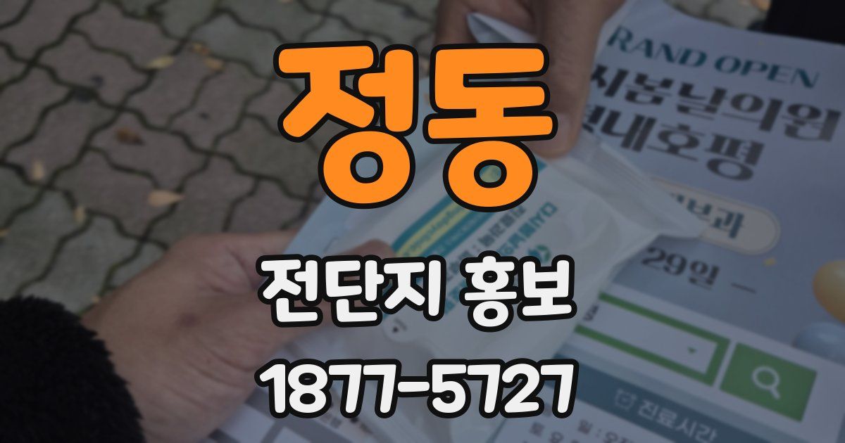 정동 전단지 홍보