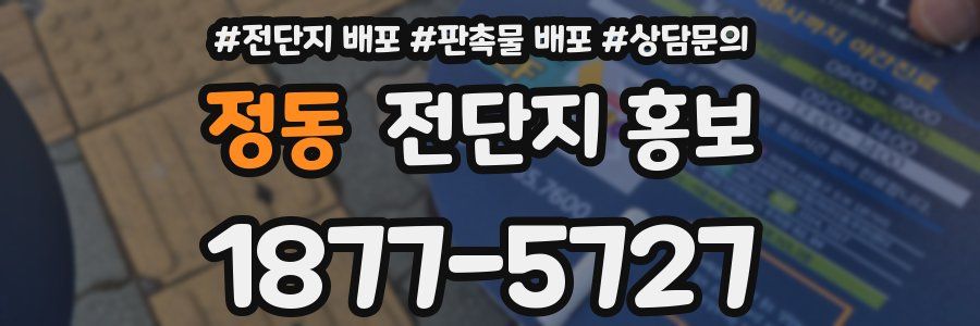 정동 전단지 홍보