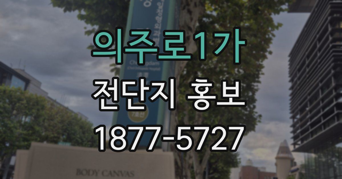 의주로1가 전단지 홍보