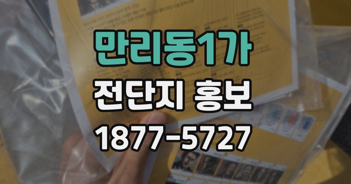 만리동1가 전단지 홍보