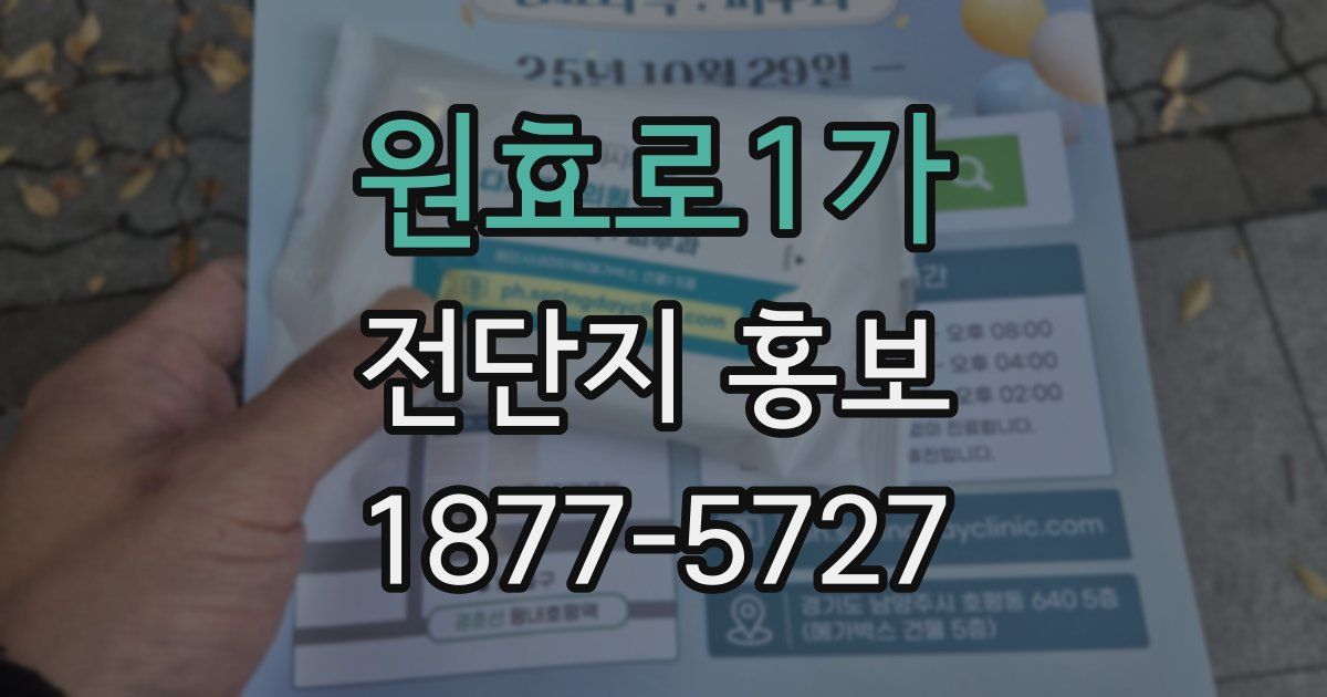 원효로1가 전단지 홍보