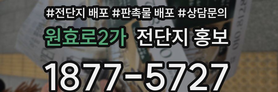 원효로2가 전단지 홍보