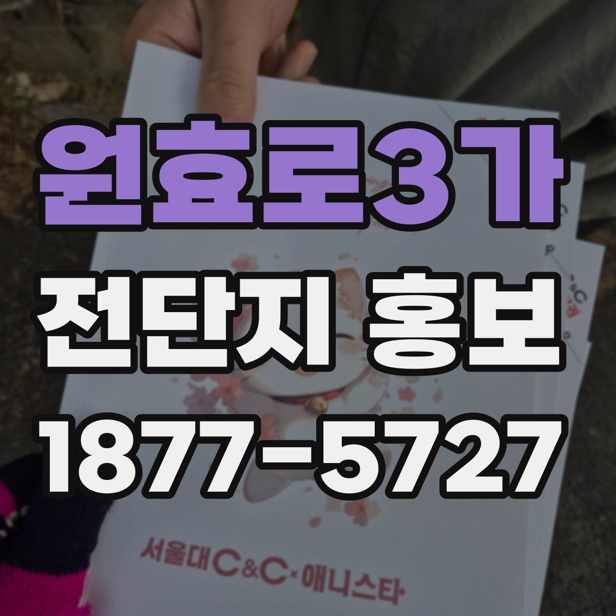 원효로3가 전단지 홍보