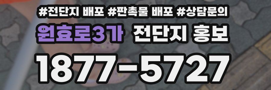 원효로3가 전단지 홍보