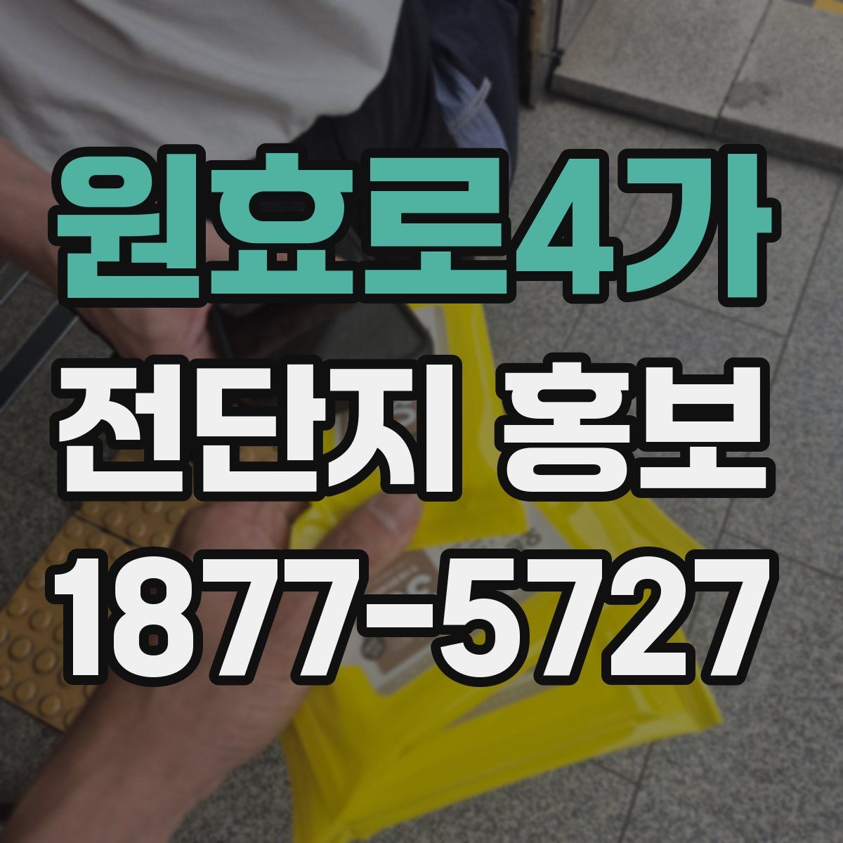 원효로4가 전단지 홍보