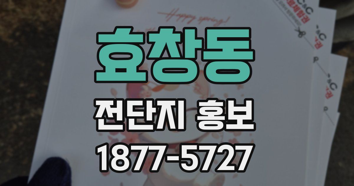 효창동 전단지 홍보