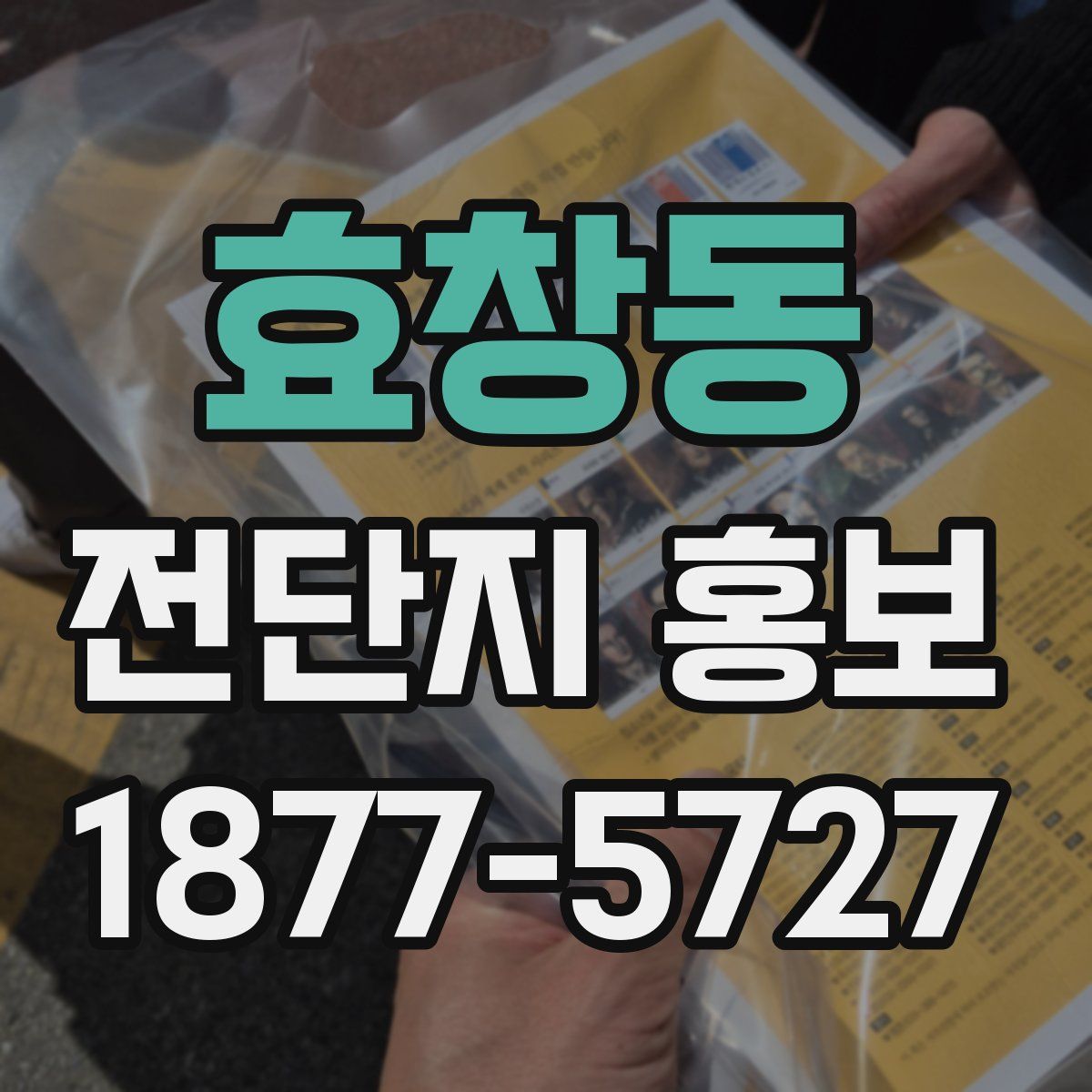 효창동 전단지 홍보
