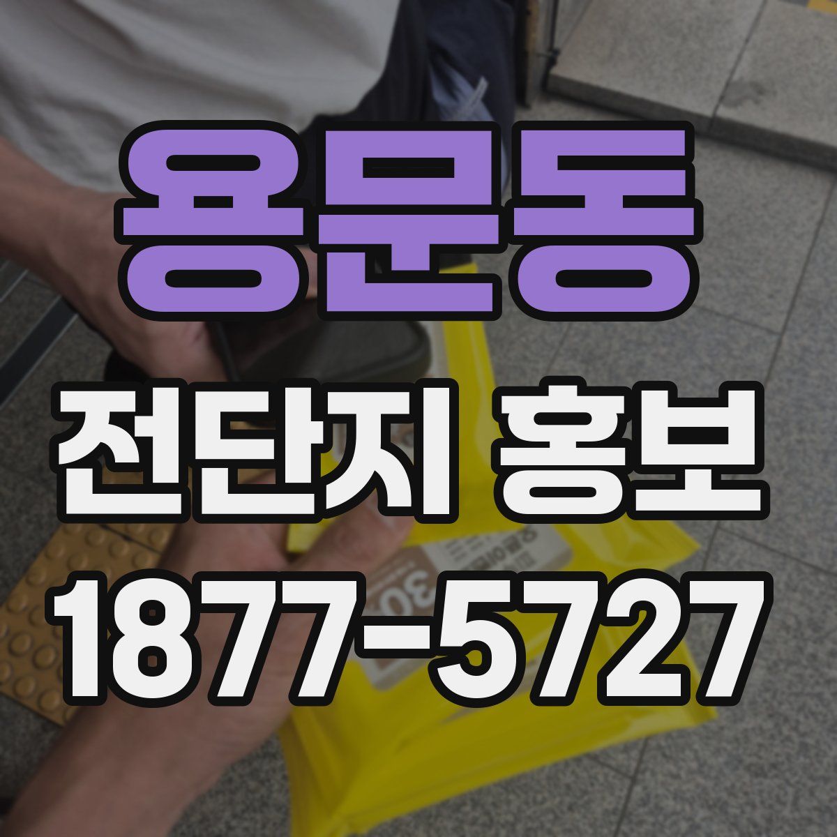 용문동 전단지 홍보