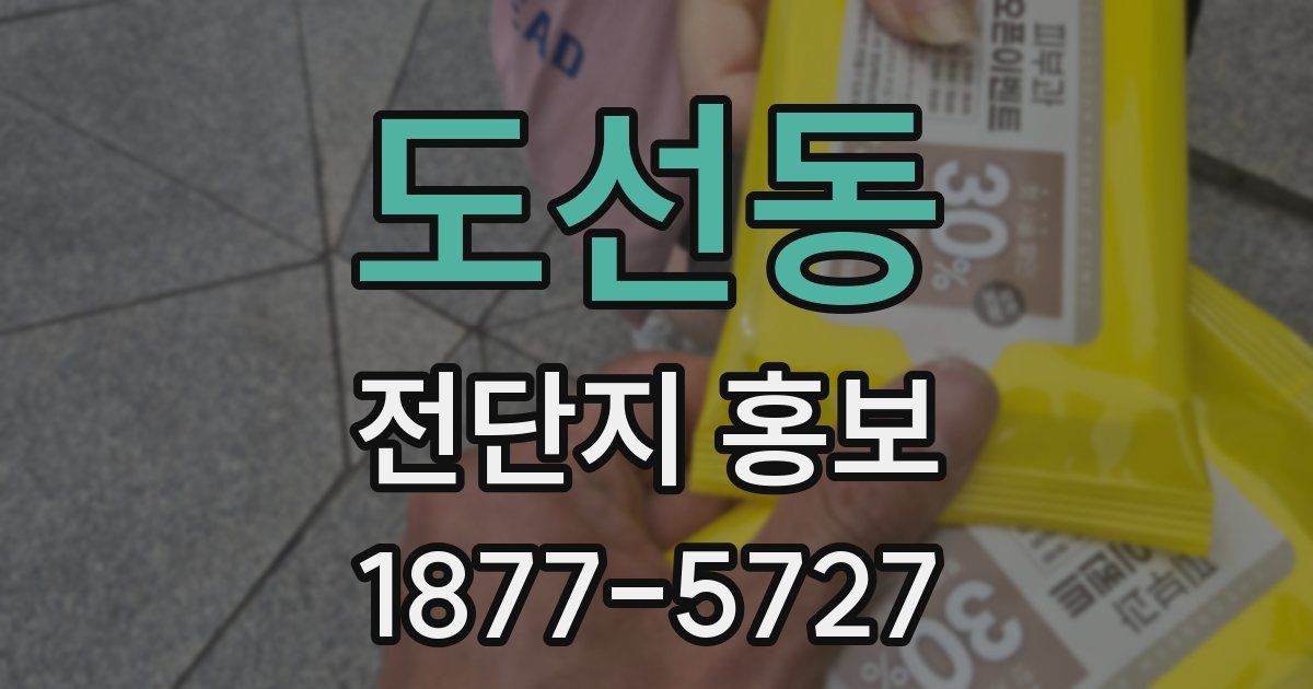 도선동 전단지 홍보