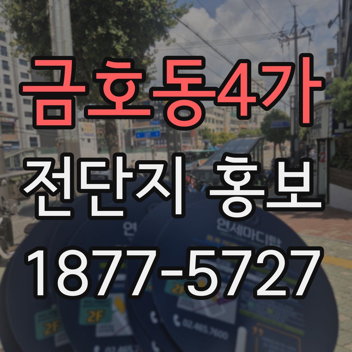 금호동4가 전단지 홍보