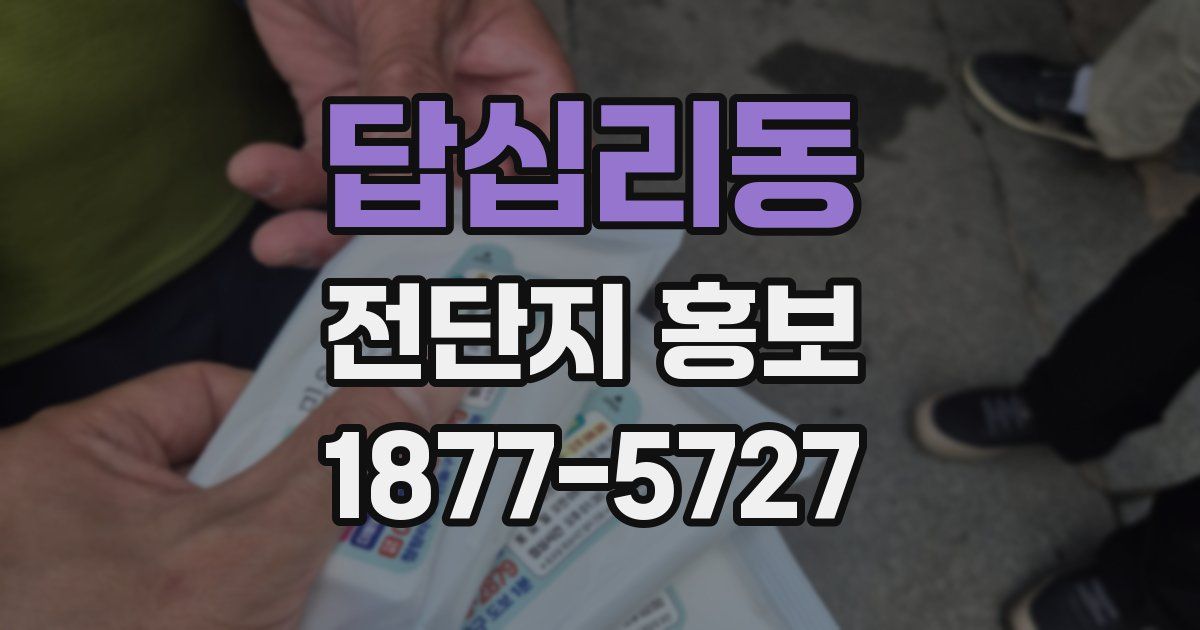 답십리동 전단지 홍보