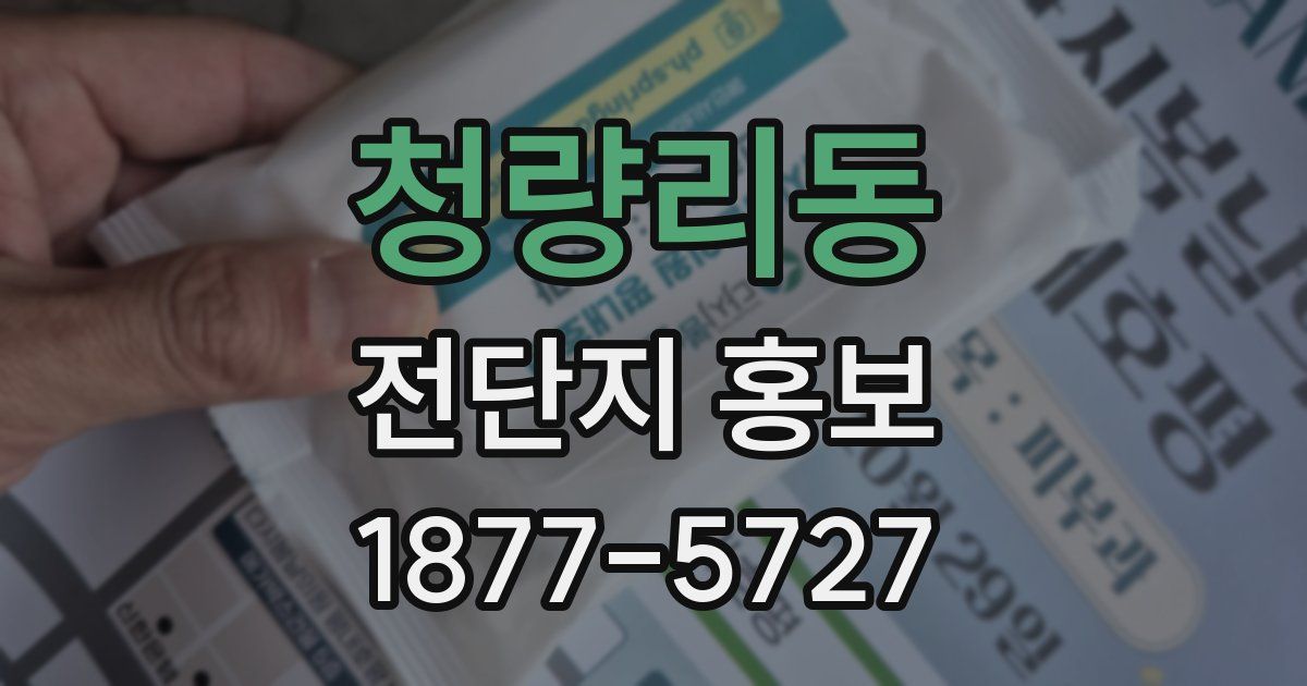 청량리동 전단지 홍보