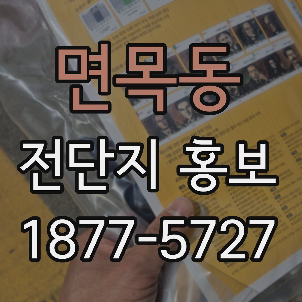 면목동 전단지 홍보