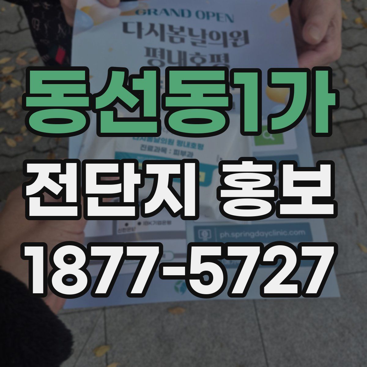 동선동1가 전단지 홍보