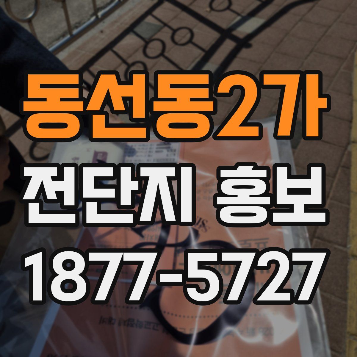 동선동2가 전단지 홍보