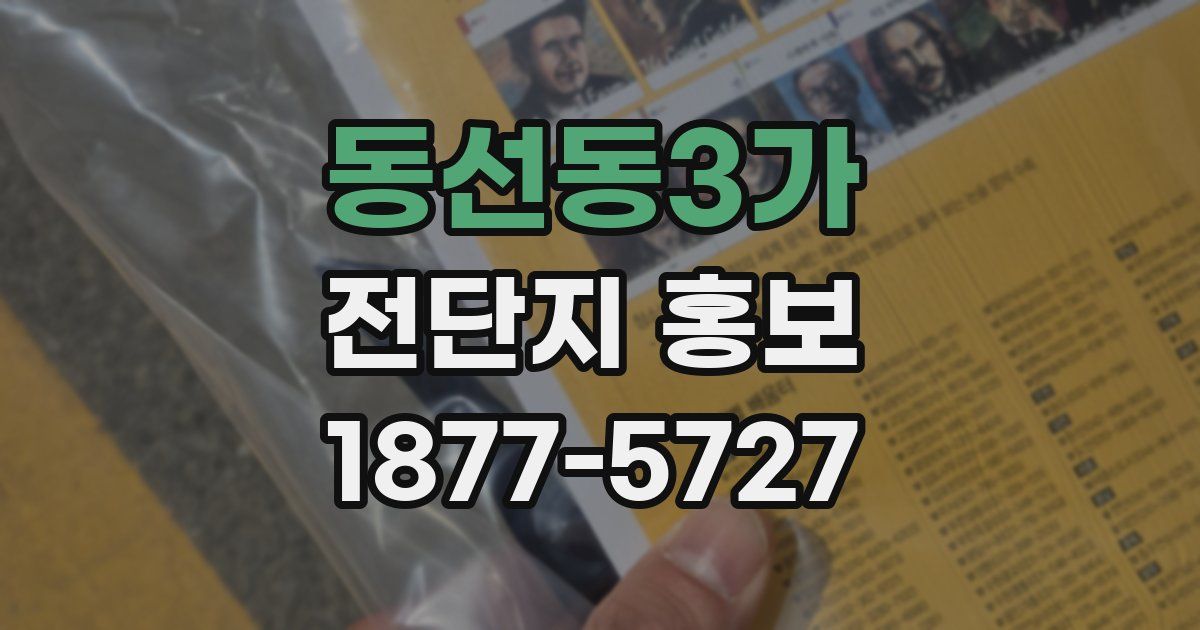 동선동3가 전단지 홍보