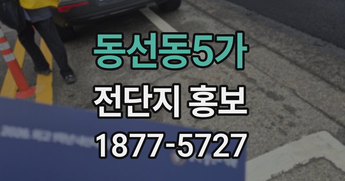 동선동5가 전단지 홍보