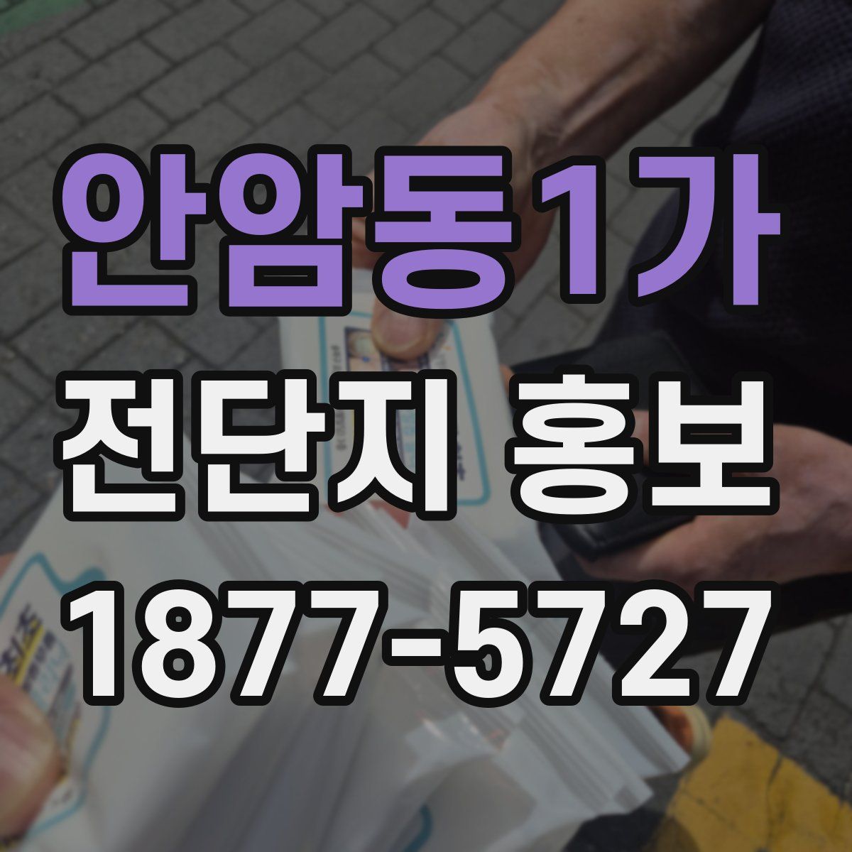 안암동1가 전단지 홍보